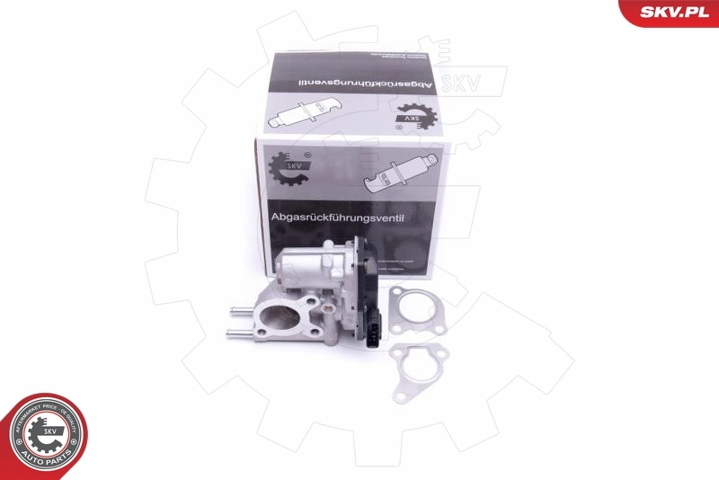 EGR Valve